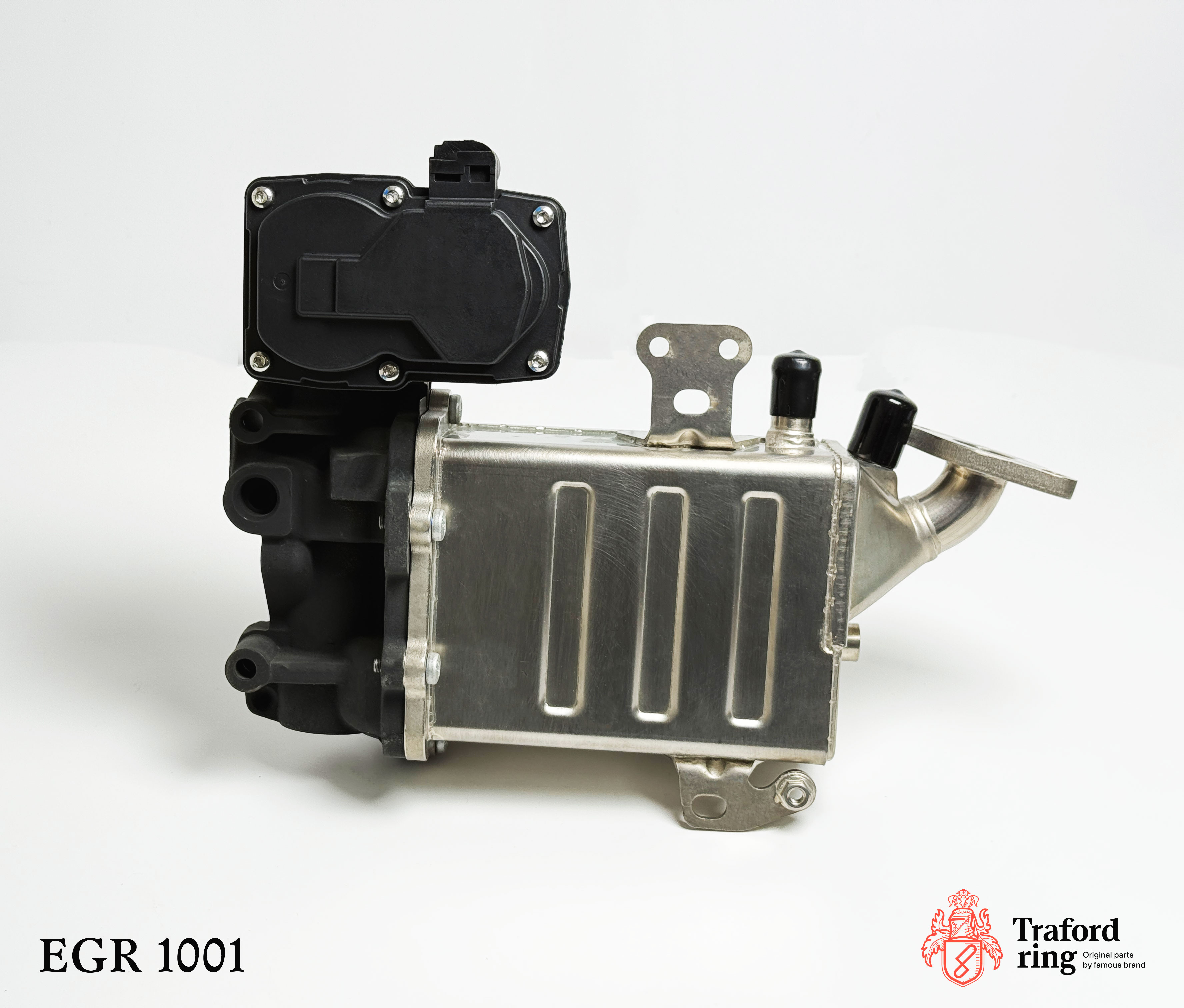 EGR 1001 Traford Ring — вид детали с другой стороны
